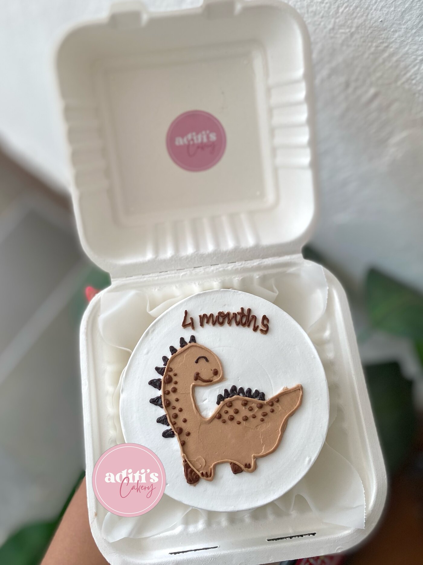 Dinosaur-themed bento cake