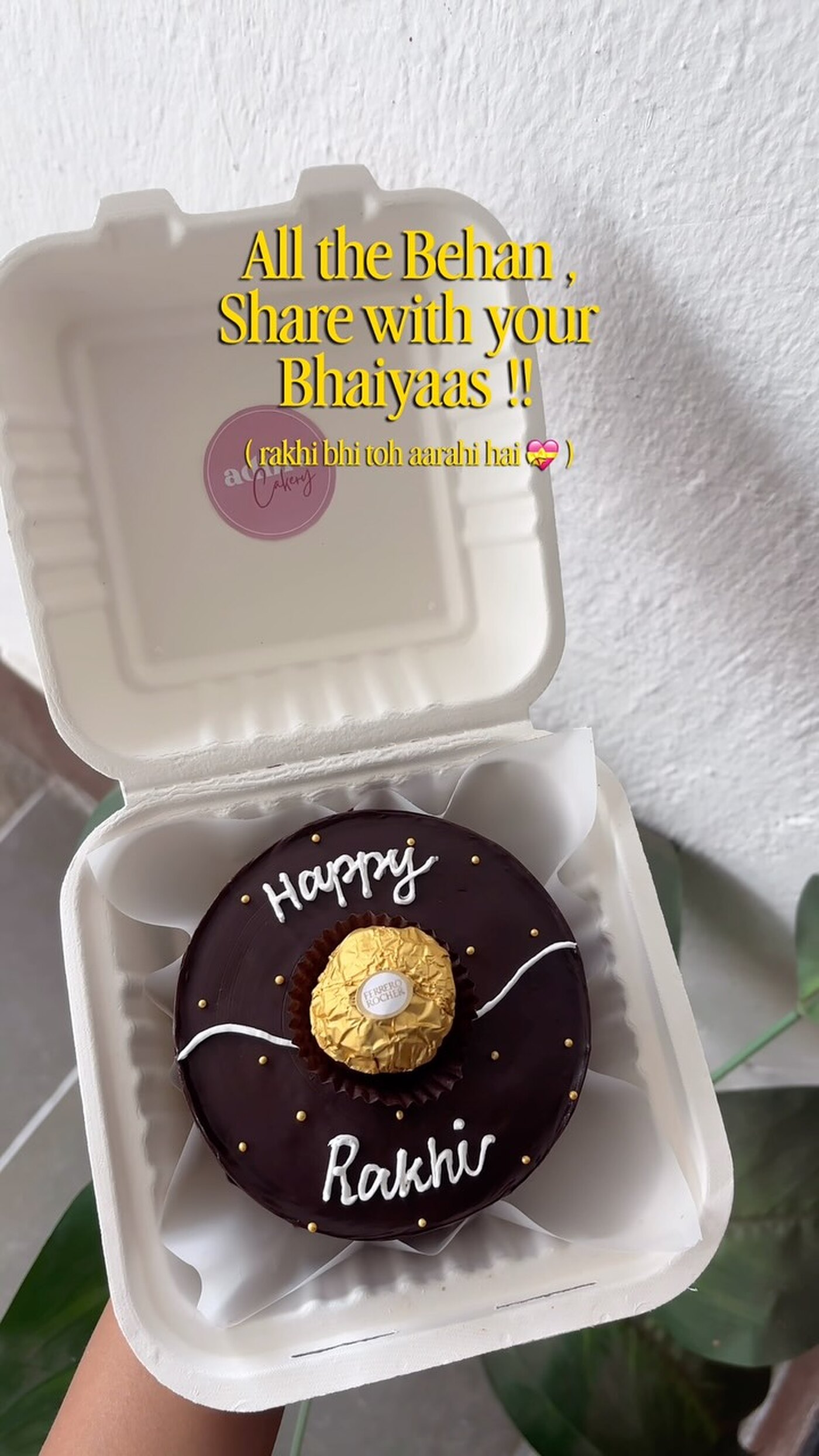 Chocolate Rakhi bento cake